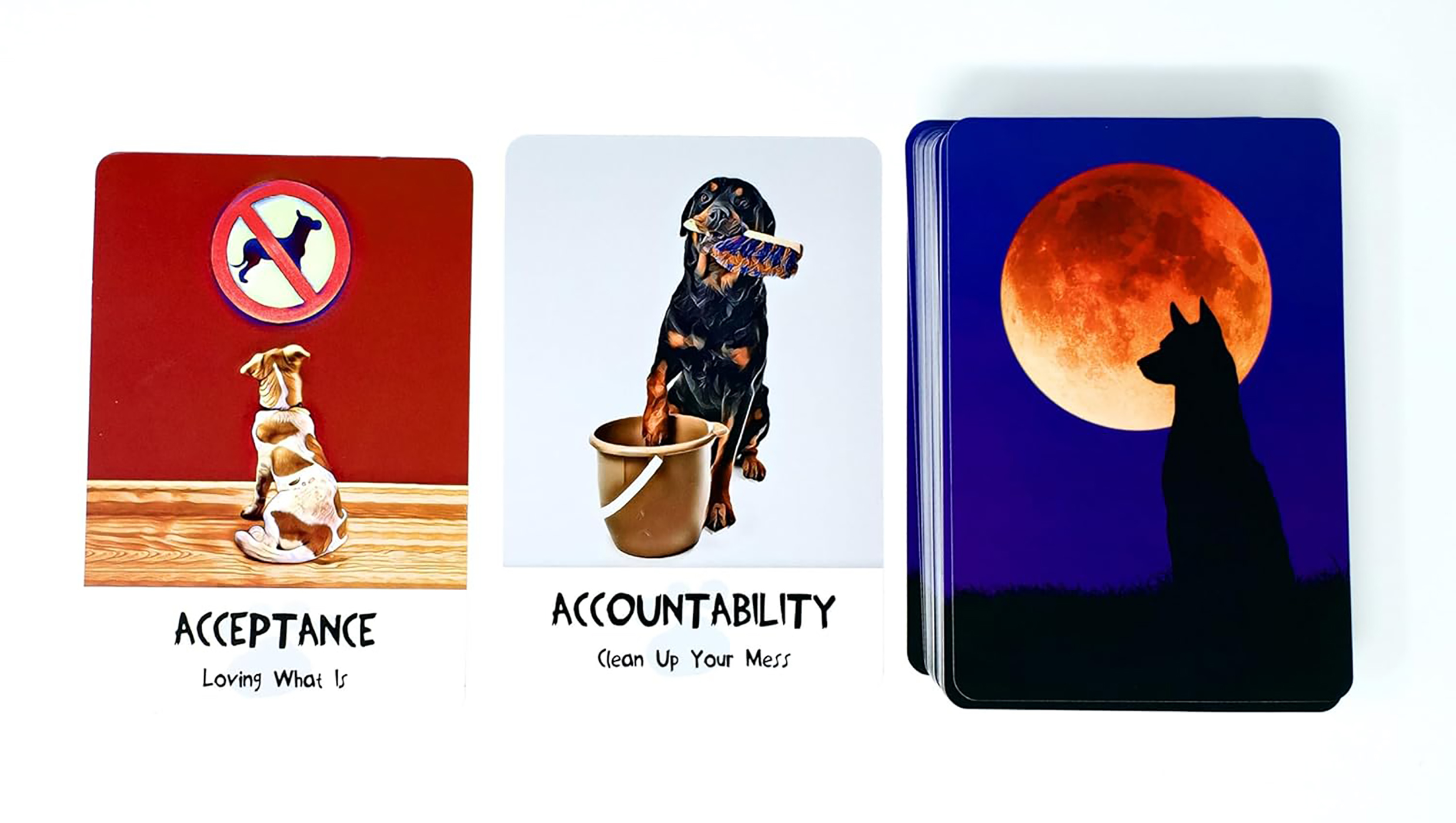 DivineDog WisdomCards