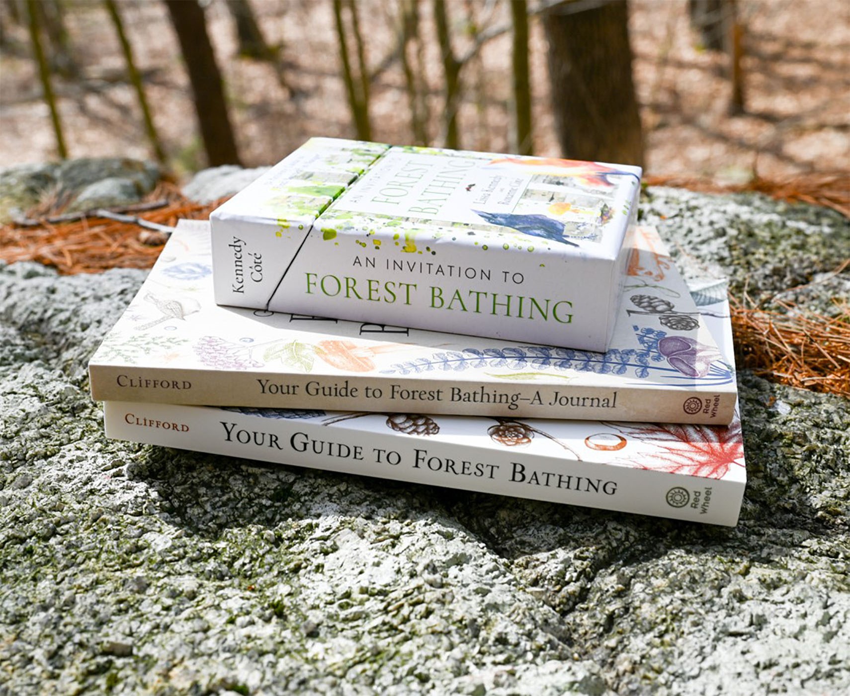 Your Guide to Forest Bathing - A Journal