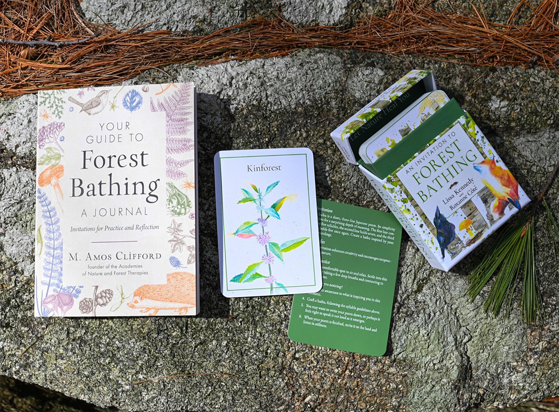 Your Guide to Forest Bathing - A Journal