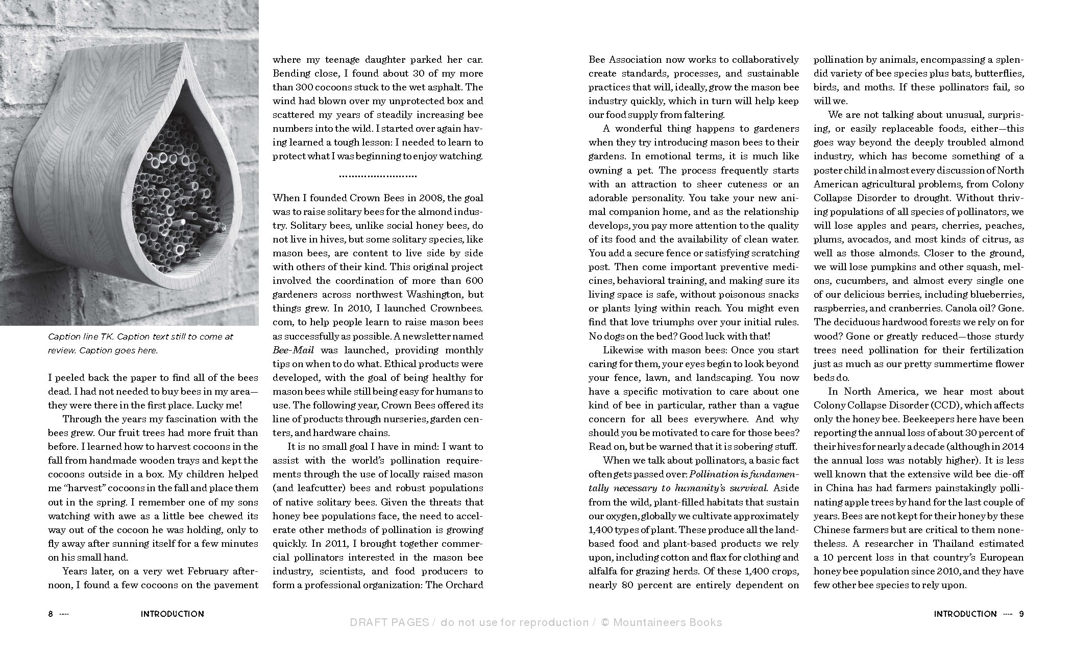 Mason Bee Revolution