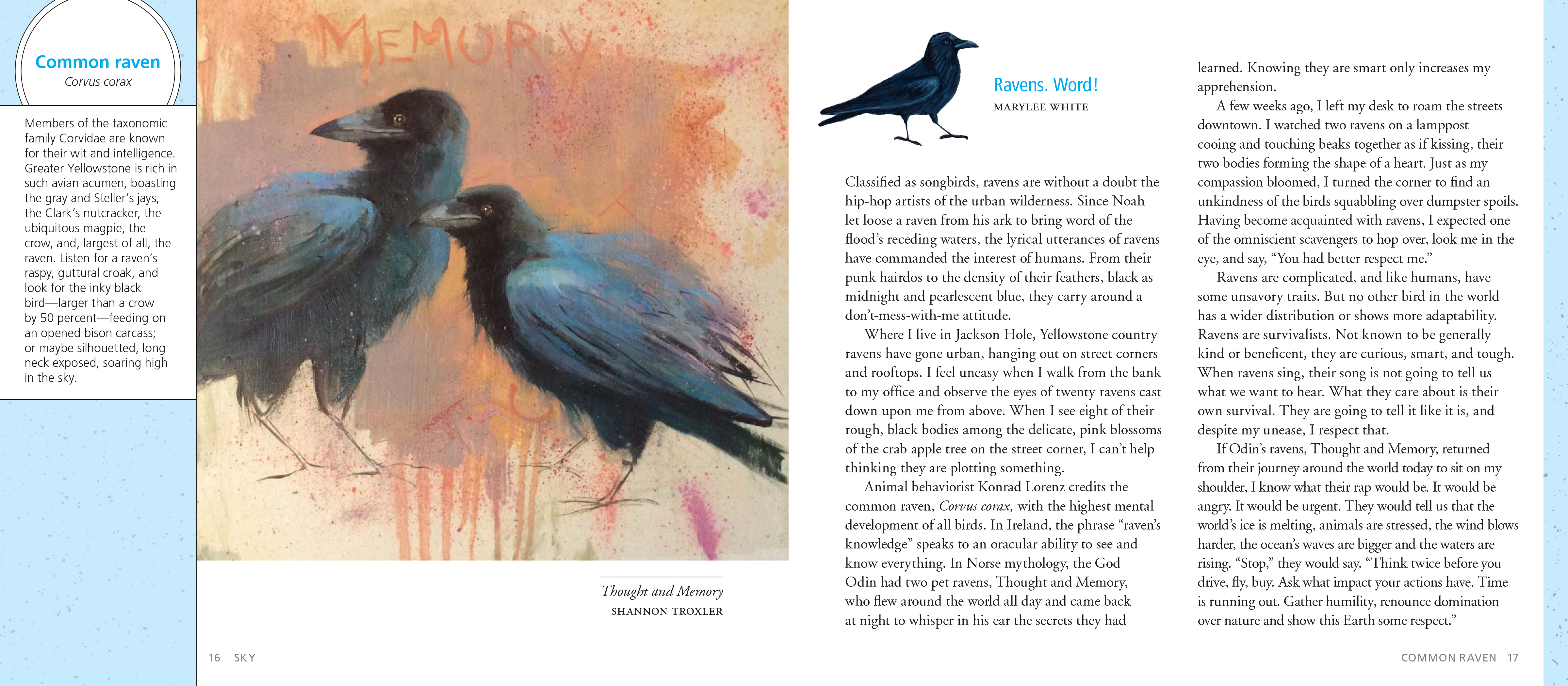 The Artist's Field Guide to Yellowstone