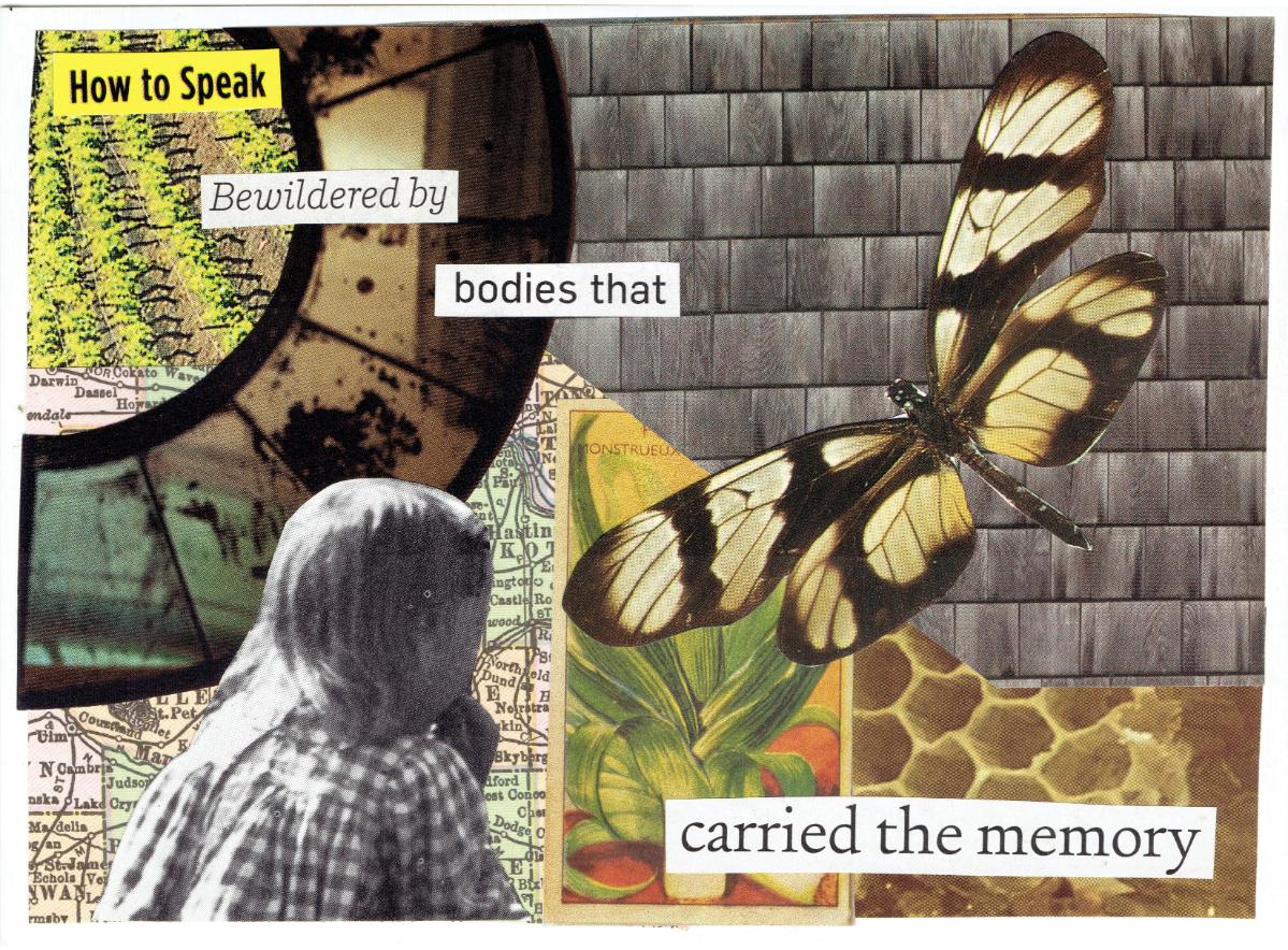 The Carework Project