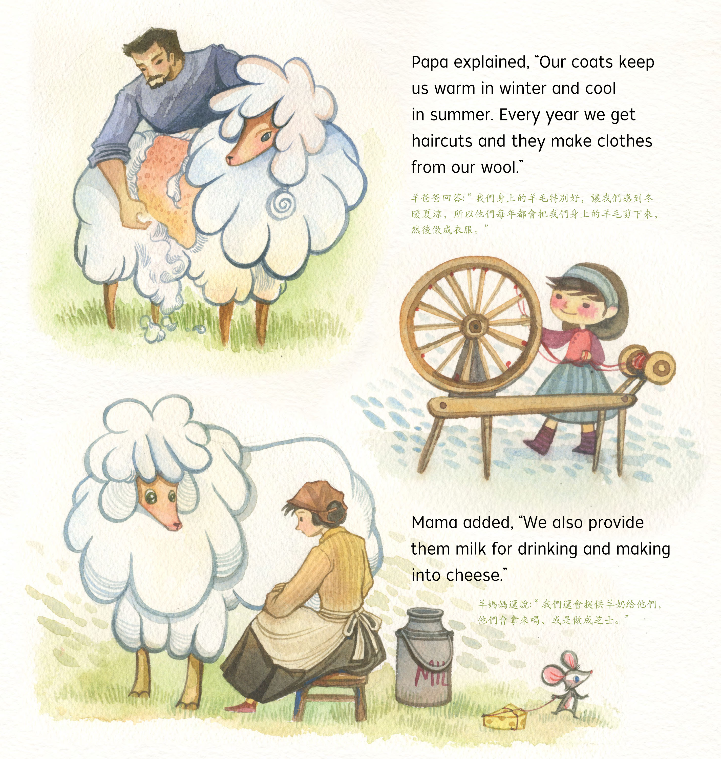 The Year of the Sheep