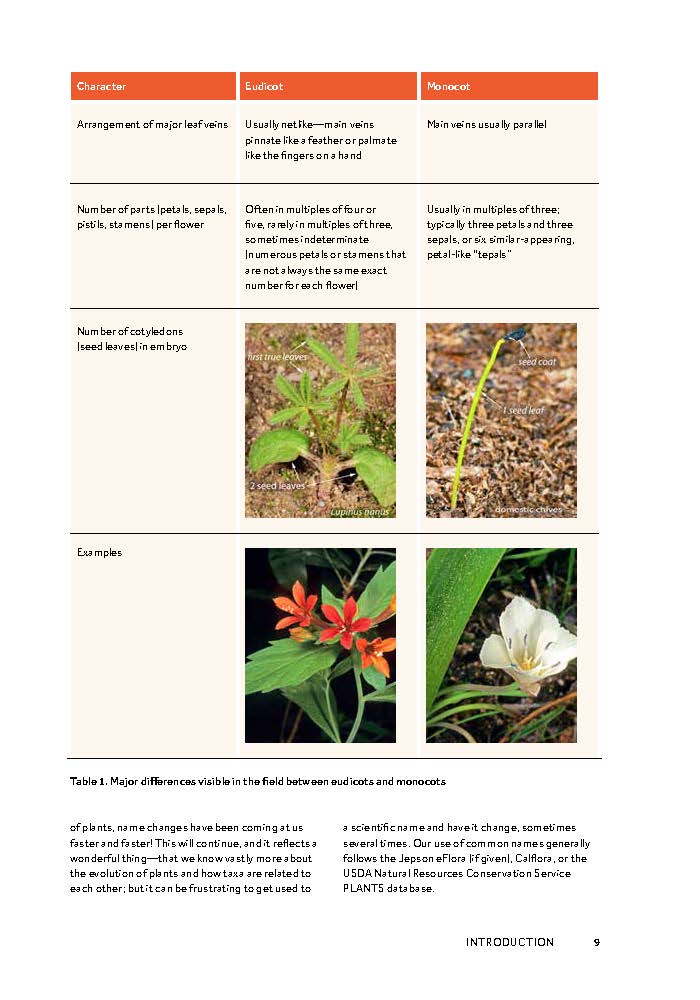Flowering Plants of the Sierra Nevada