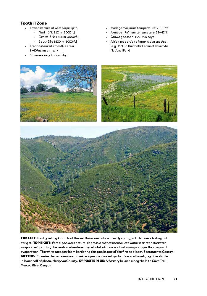 Flowering Plants of the Sierra Nevada