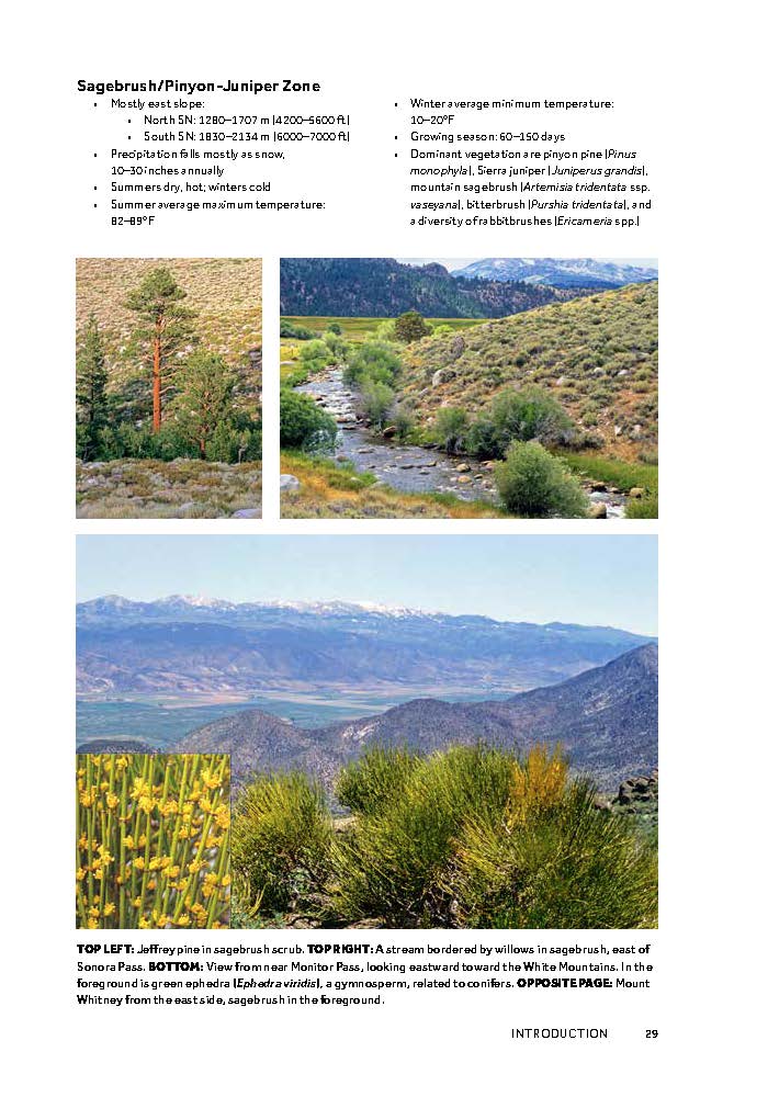 Flowering Plants of the Sierra Nevada