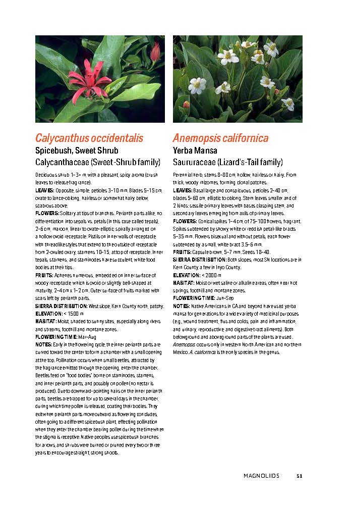 Flowering Plants of the Sierra Nevada