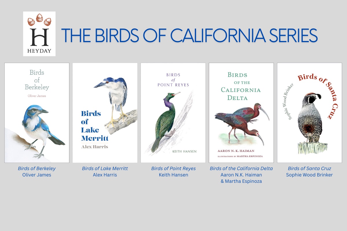 Birds of Santa Cruz
