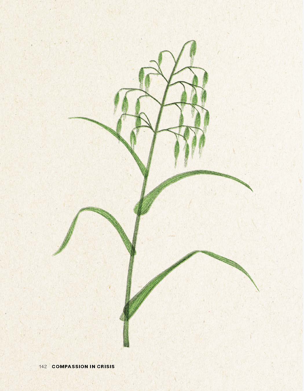 Compassion in Crisis