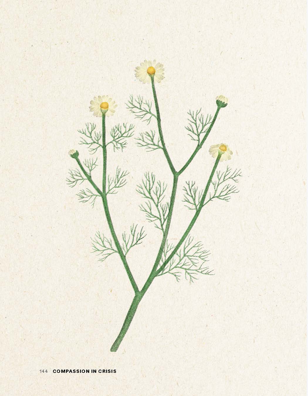 Compassion in Crisis