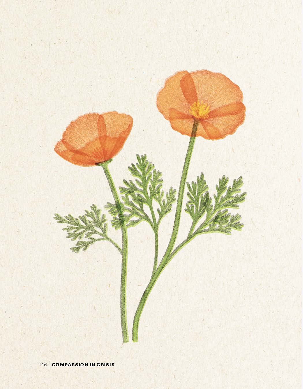 Compassion in Crisis