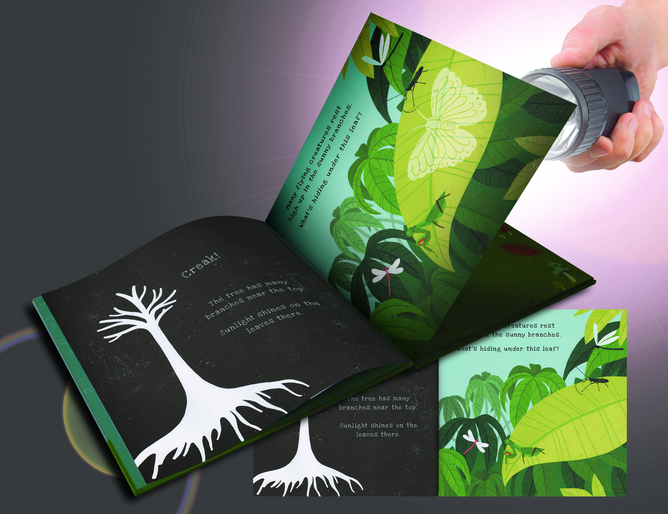 Secrets of the Rain Forest