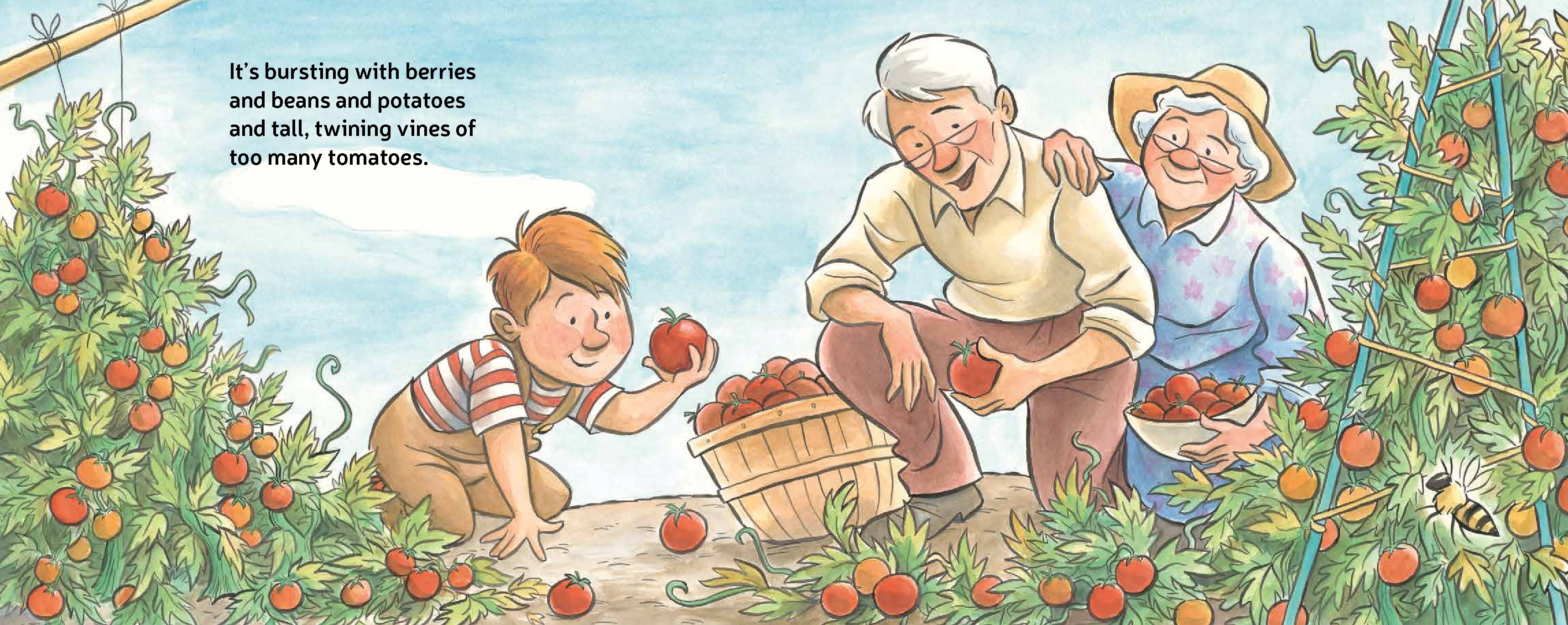 Too Many Tomatoes