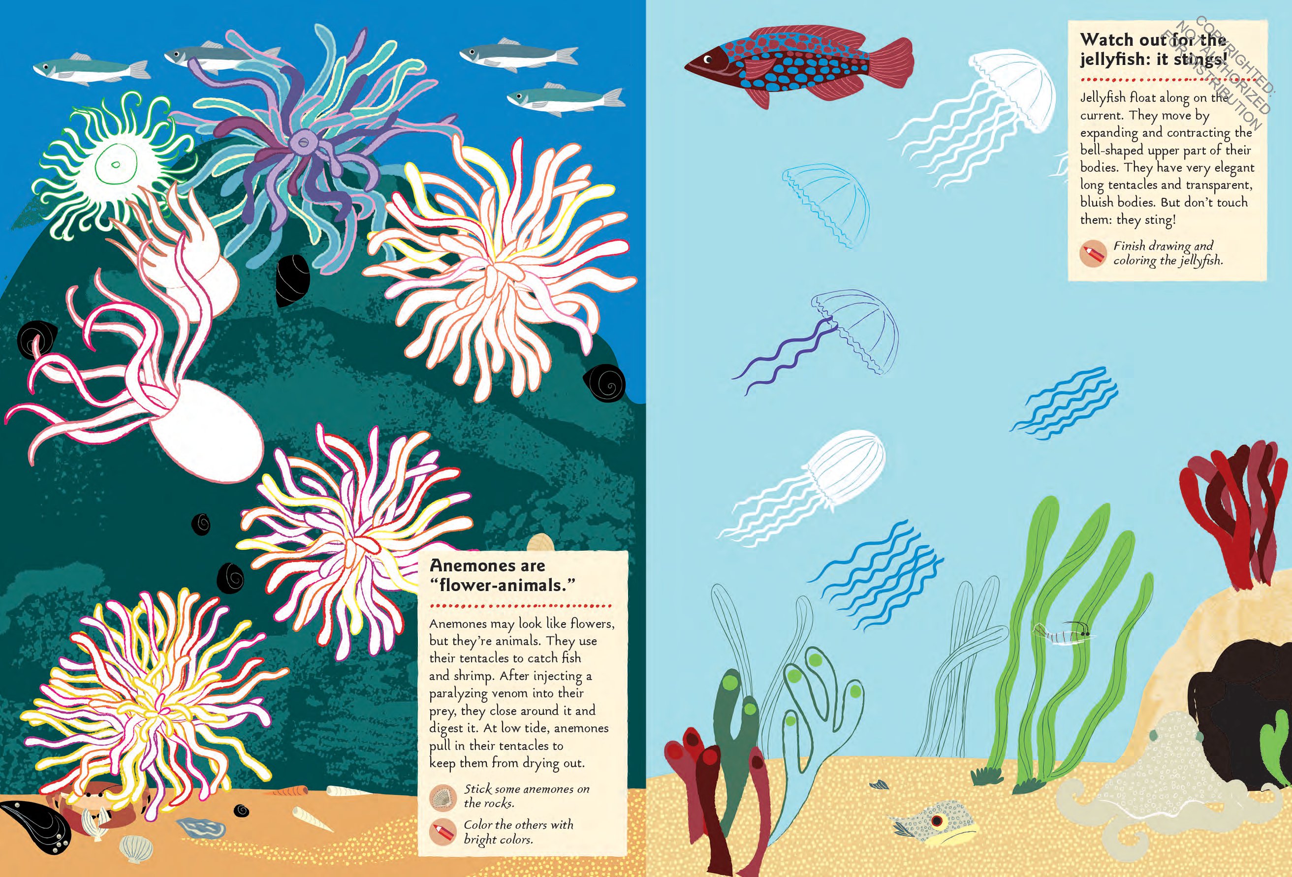 At the Seashore: My Nature Sticker Activity Book (Ages 5 and up, with 120 stickers, 24 activities and 1 quiz)