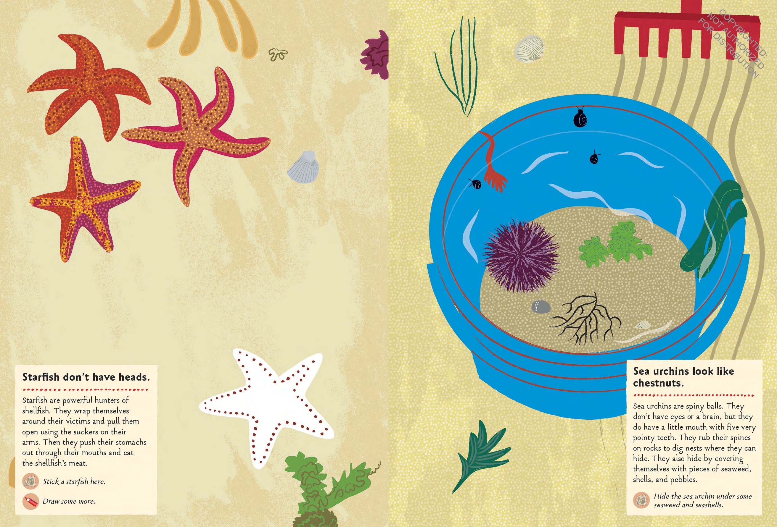 At the Seashore: My Nature Sticker Activity Book (Ages 5 and up, with 120 stickers, 24 activities and 1 quiz)