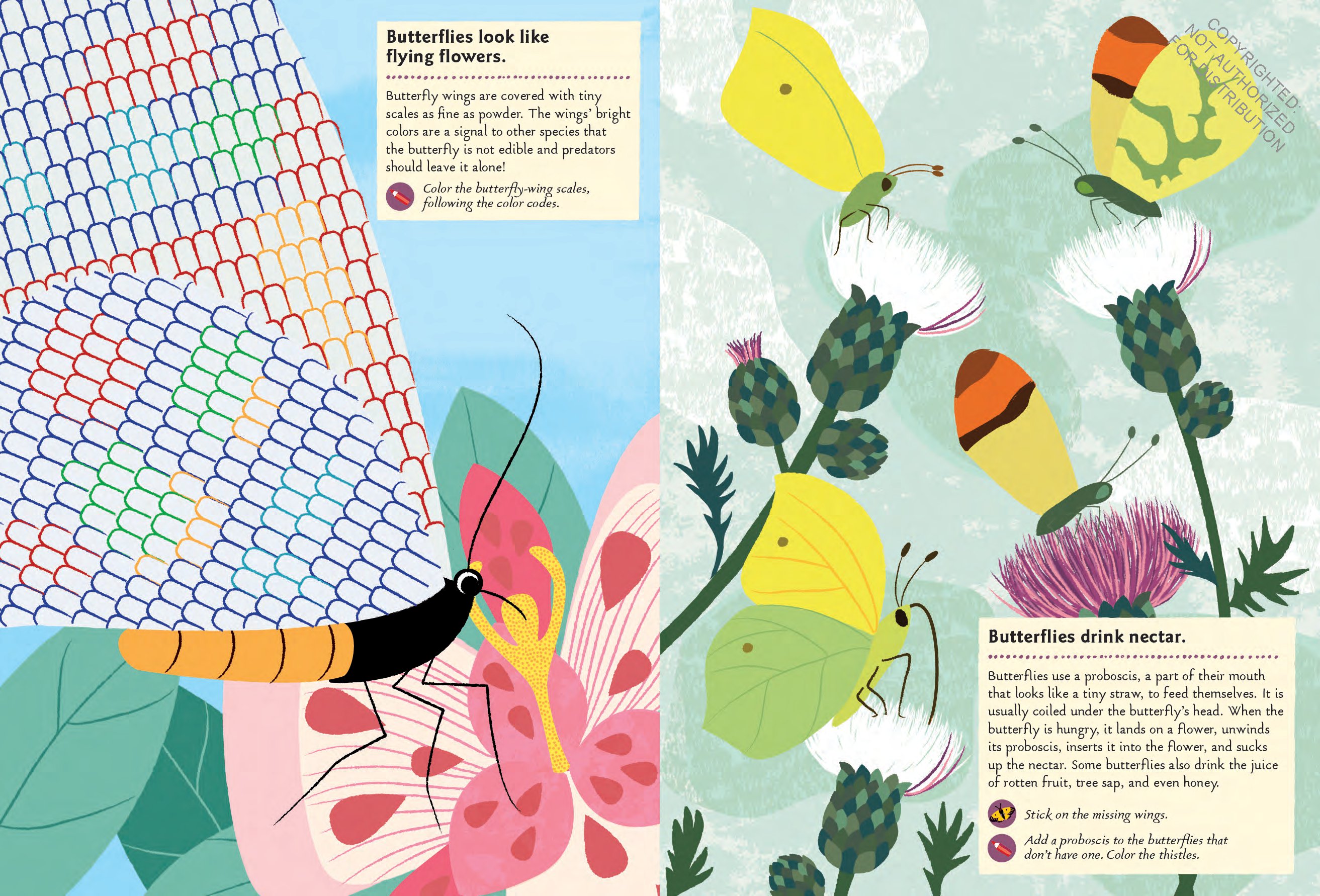 Butterflies of the World