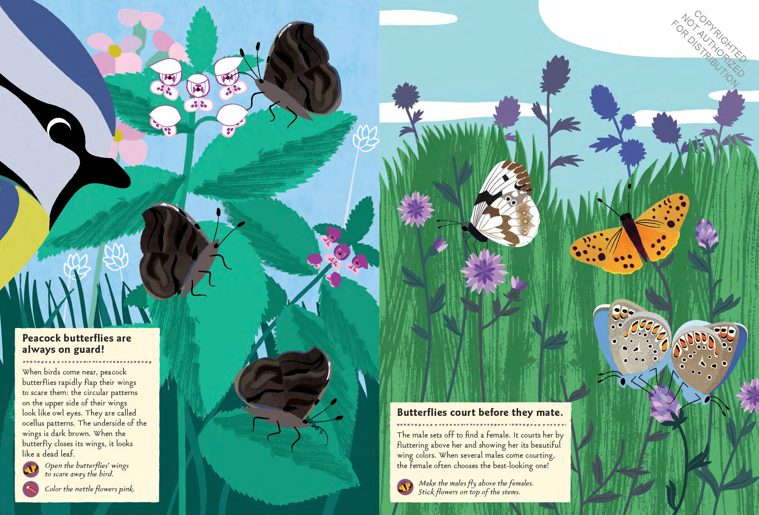 Butterflies of the World