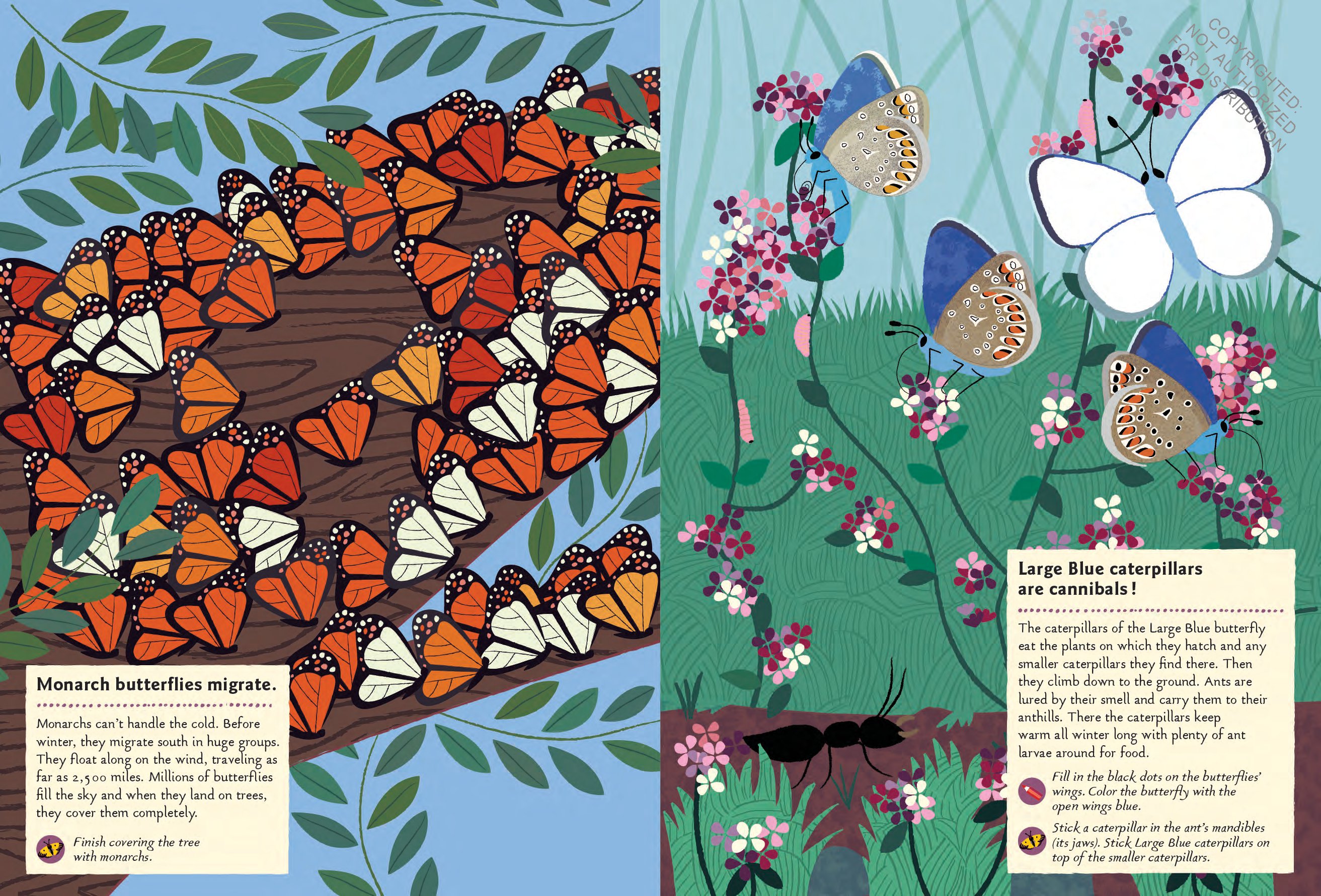 Butterflies of the World