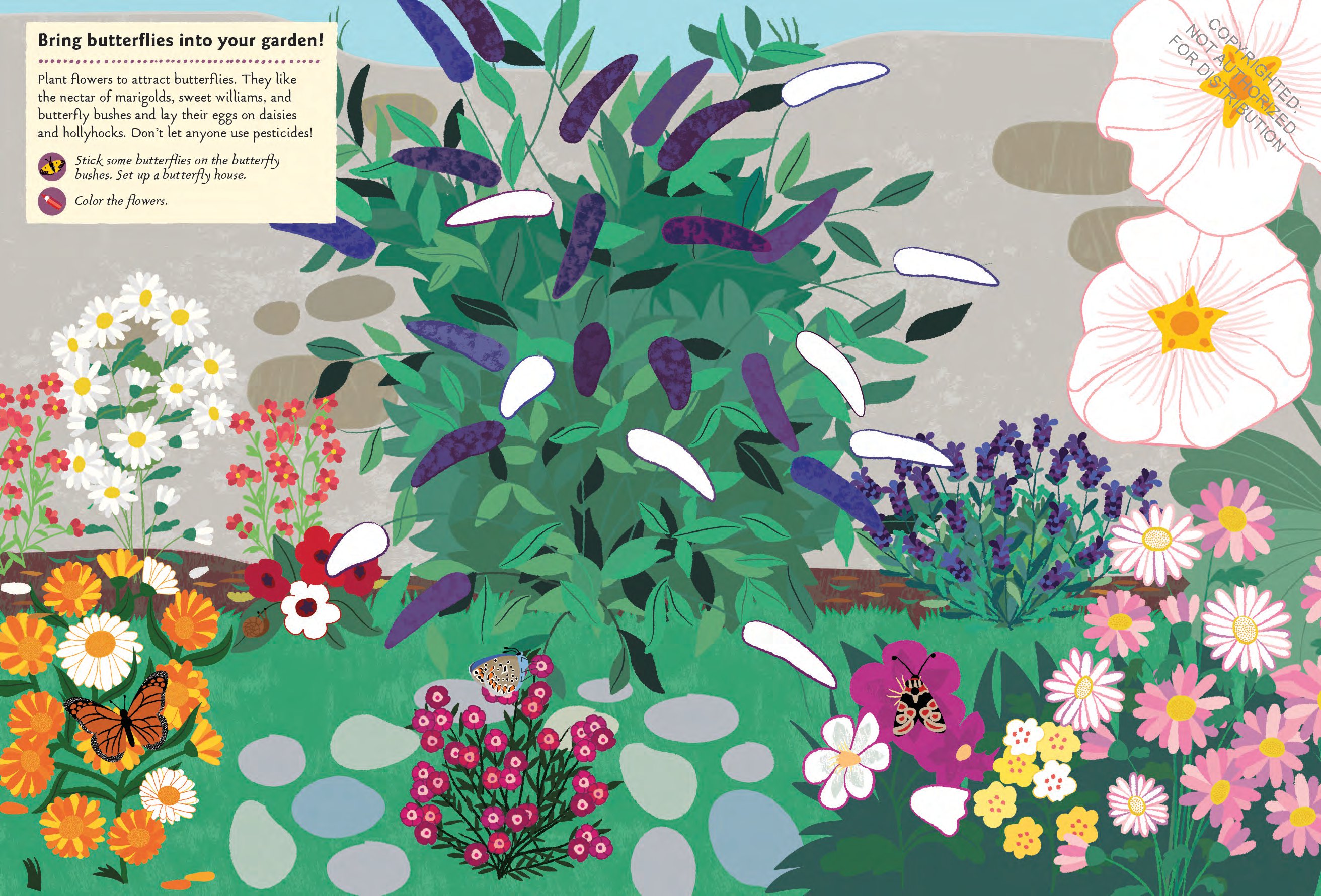 Butterflies of the World