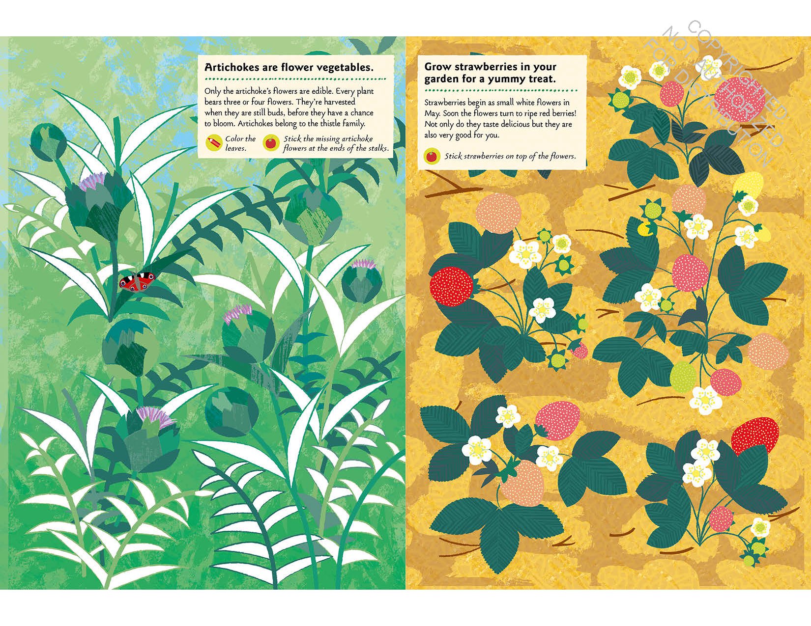 In the Vegetable Garden: My Nature Sticker Activity Book (Ages 5 and up, with 102 stickers, 24 activities, and 1 quiz)