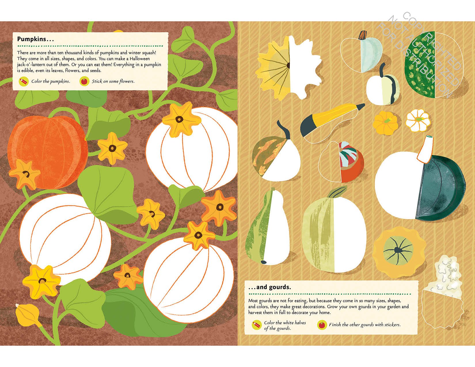 In the Vegetable Garden: My Nature Sticker Activity Book (Ages 5 and up, with 102 stickers, 24 activities, and 1 quiz)