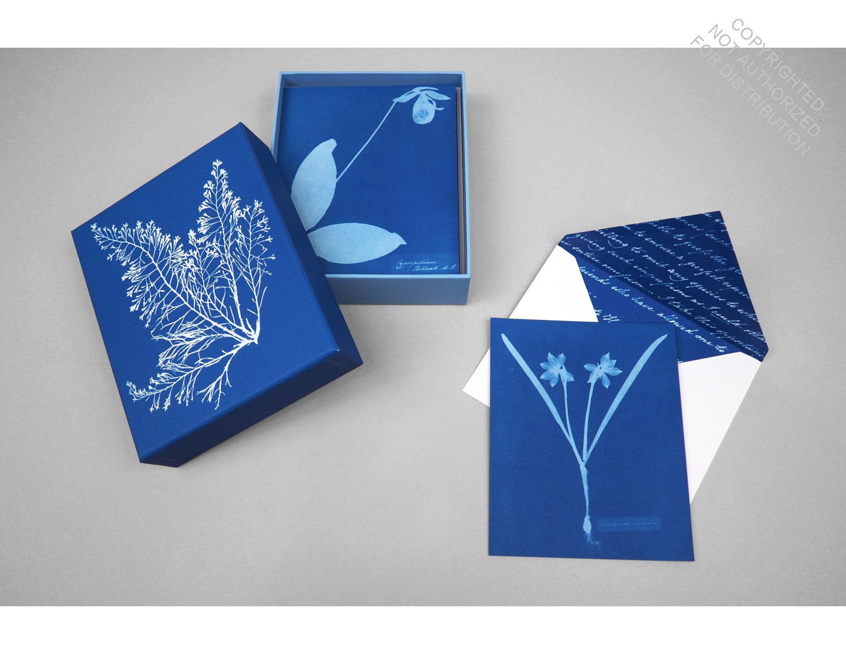 Sunprint Notecards: The Cyanotypes of Anna Atkins  (12 notecards; 12 designs; matching envelopes; keepsake box)