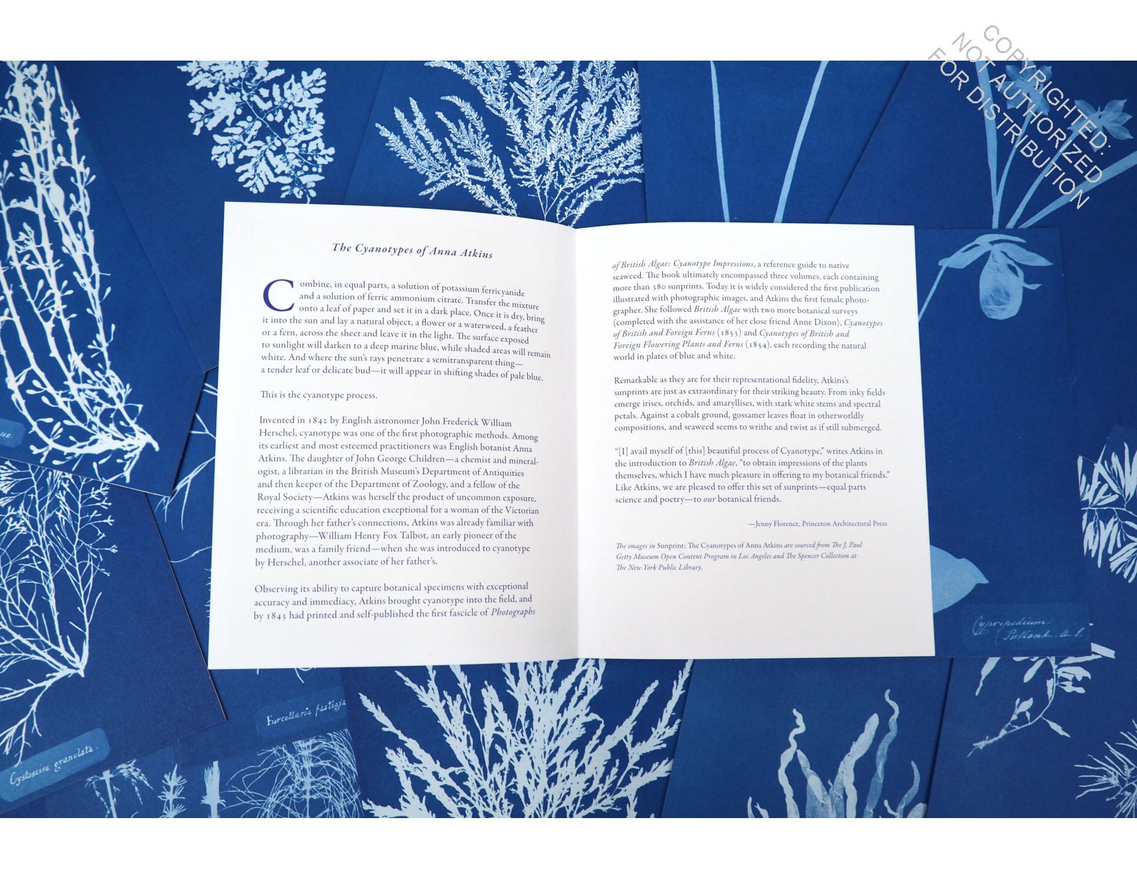 Sunprint Notecards: The Cyanotypes of Anna Atkins  (12 notecards; 12 designs; matching envelopes; keepsake box)