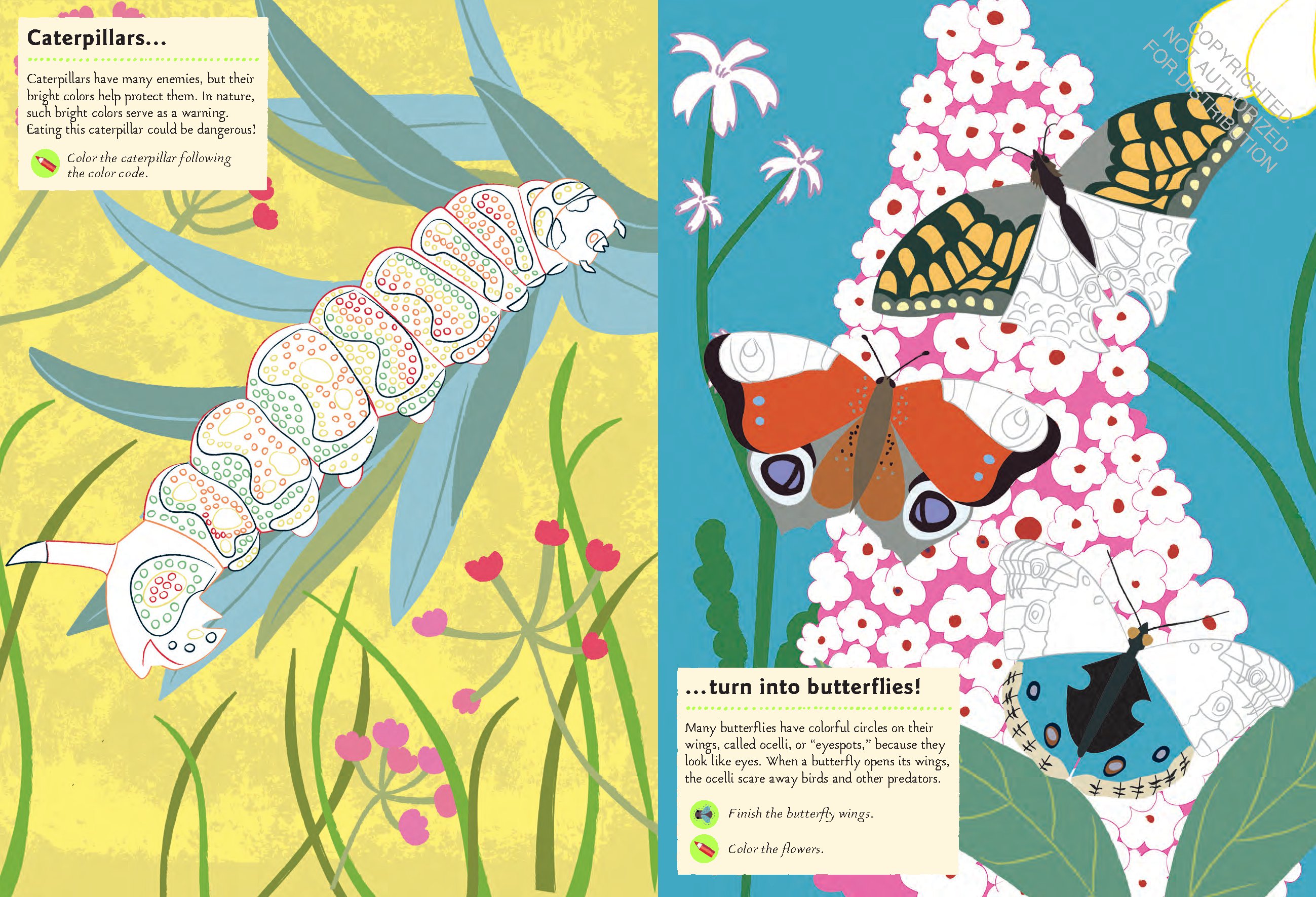 Garden Insects and Bugs