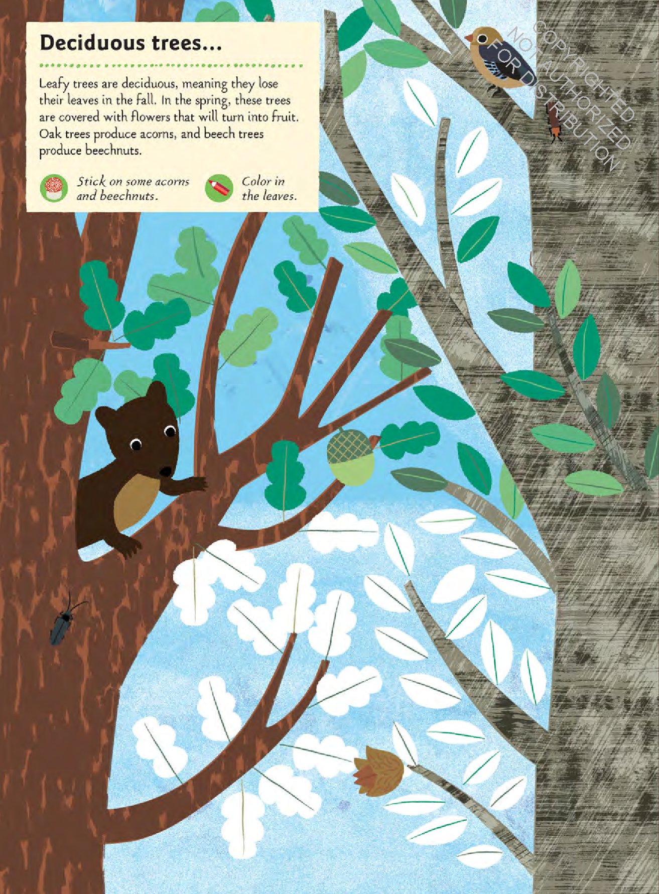 In the Forest: My Nature Sticker Activity Book (127 stickers, 29 activities, 1 quiz)