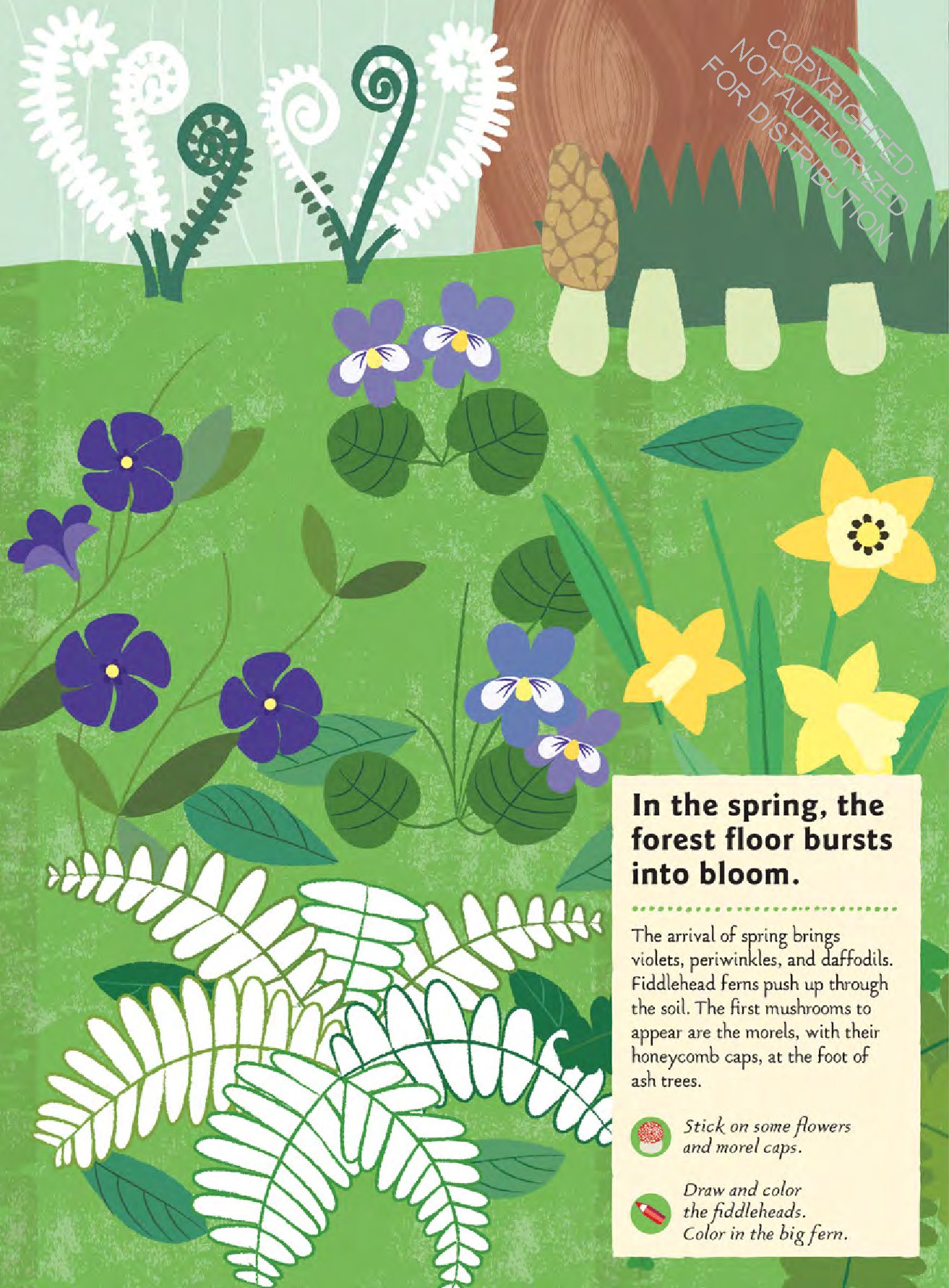 In the Forest: My Nature Sticker Activity Book (127 stickers, 29 activities, 1 quiz)