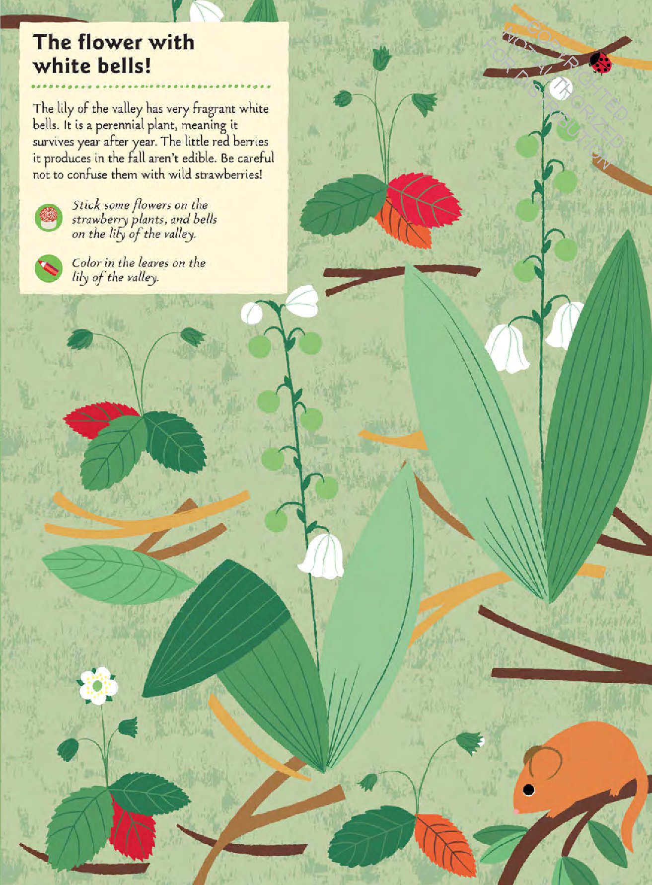 In the Forest: My Nature Sticker Activity Book (127 stickers, 29 activities, 1 quiz)