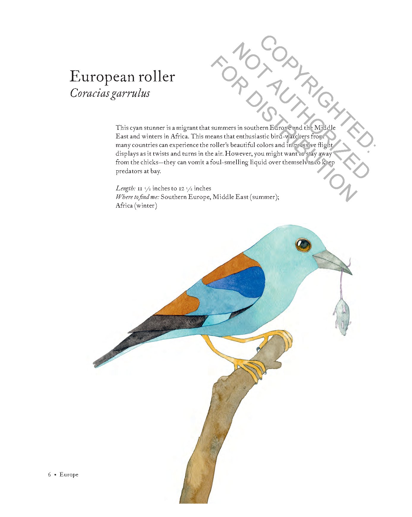 Atlas of Amazing Birds