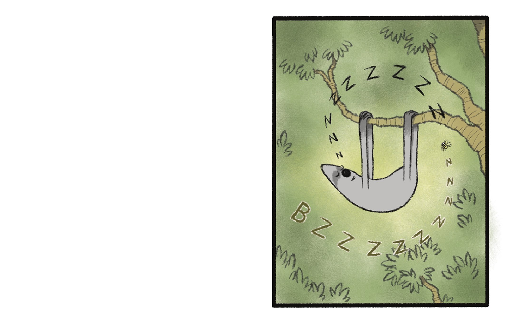 Peter & Ernesto: The Lost Sloths