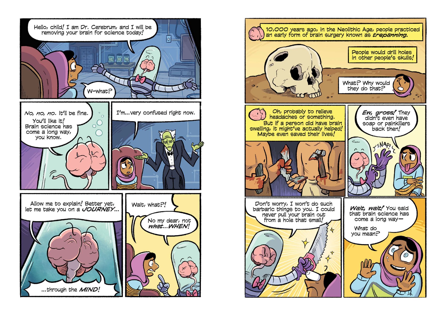 Science Comics: The Brain