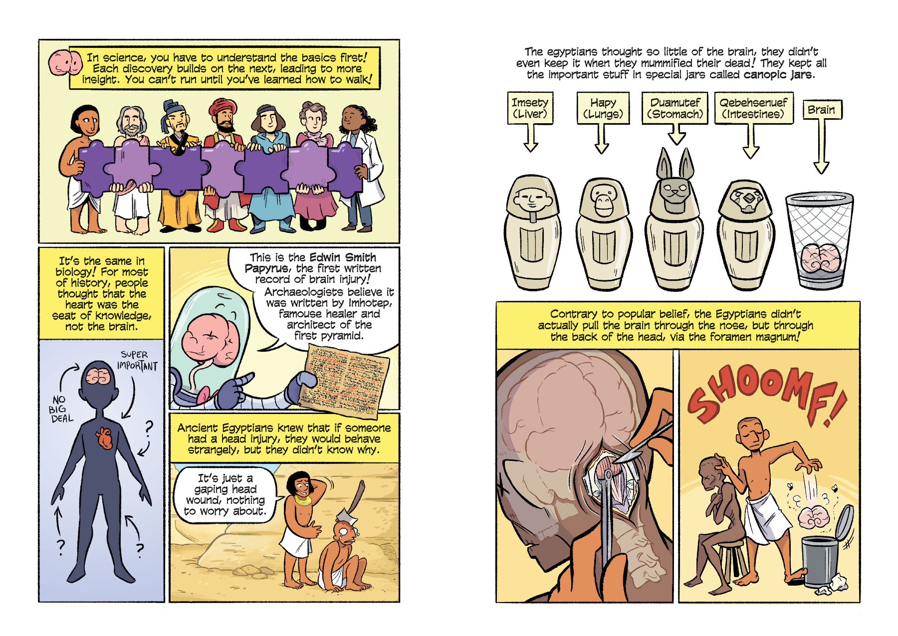 Science Comics: The Brain