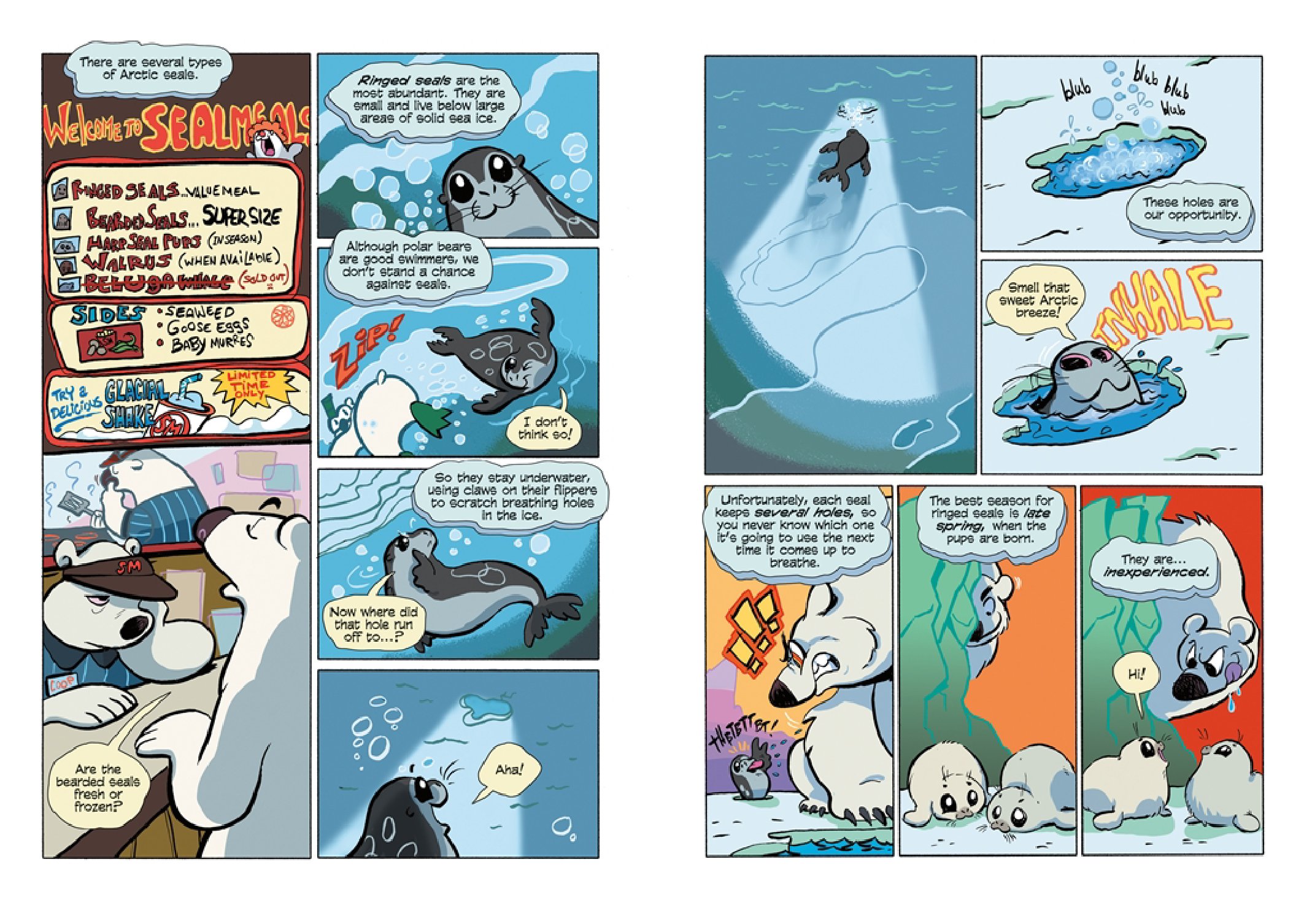 Science Comics: Polar Bears