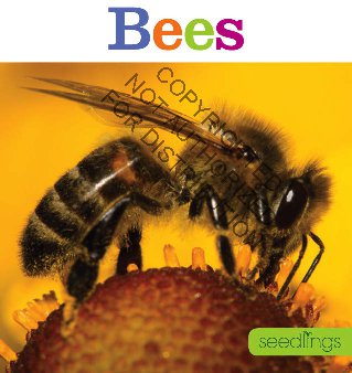 Seedlings: Bees