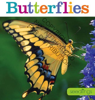Seedlings: Butterflies