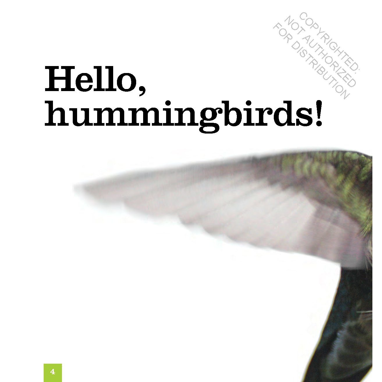 Hummingbirds