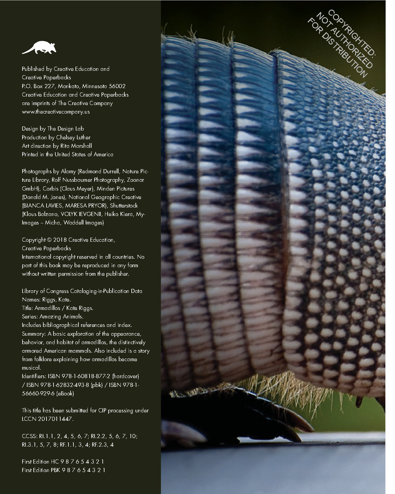 Armadillos