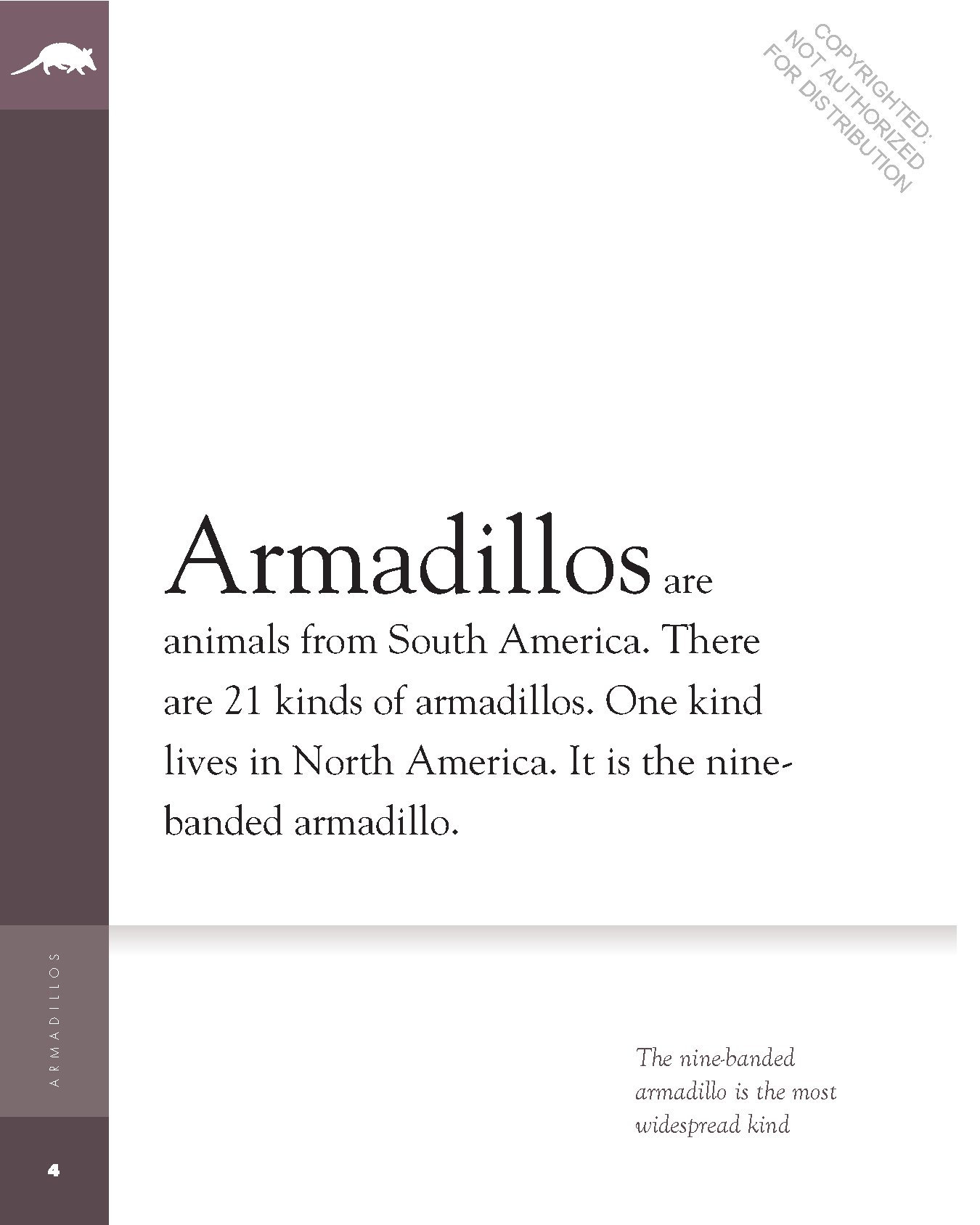 Armadillos