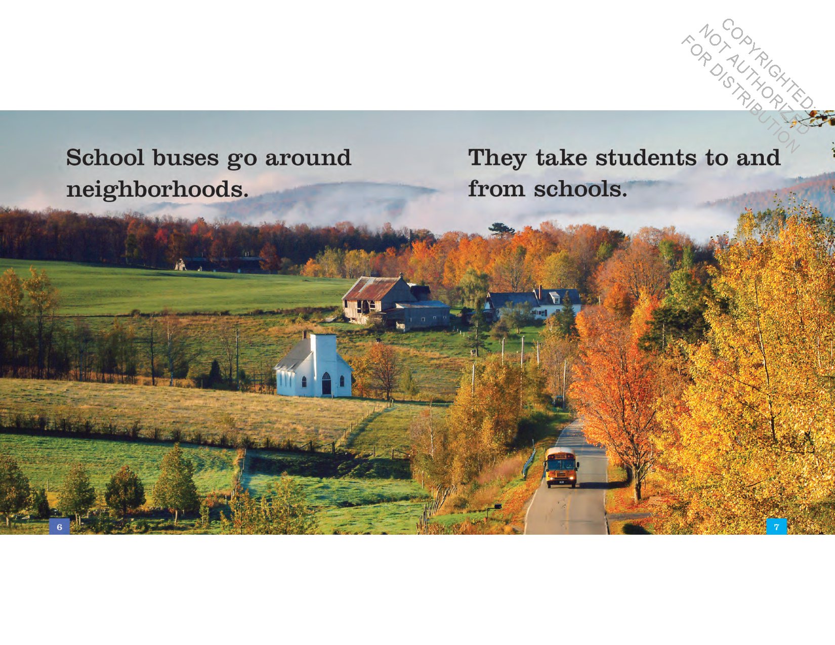 School Buses