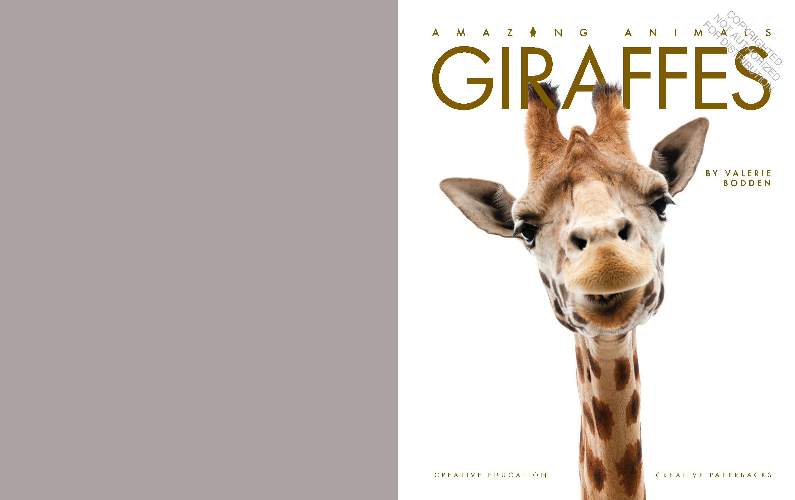 Giraffes