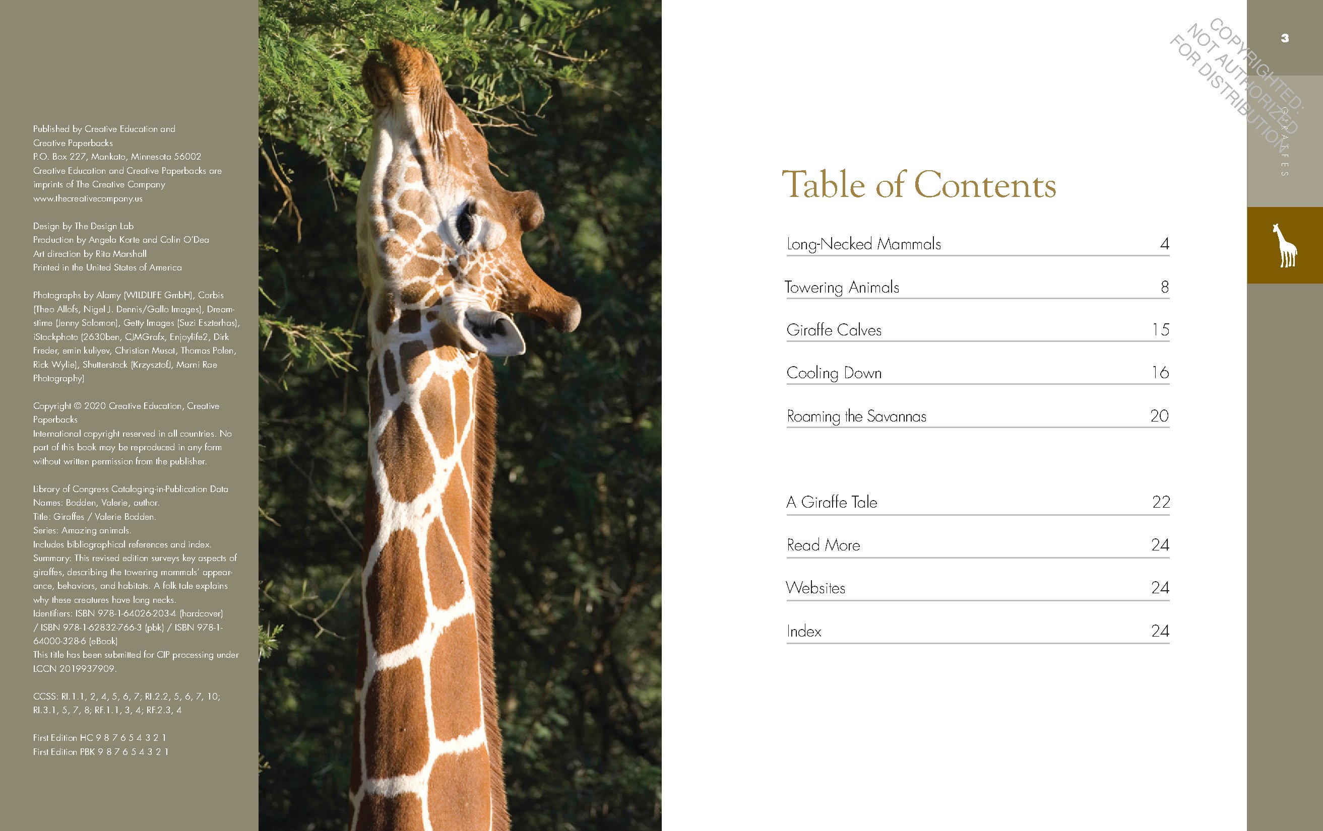 Giraffes