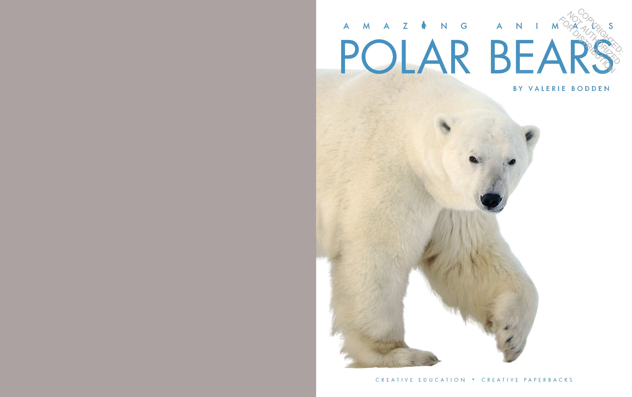 Polar Bears
