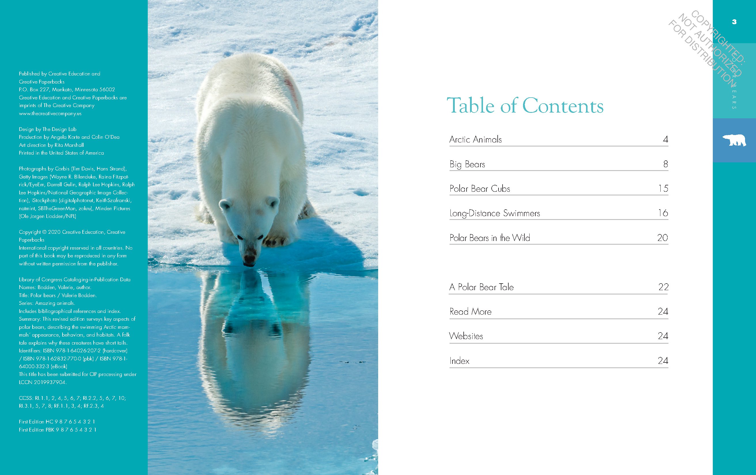 Polar Bears
