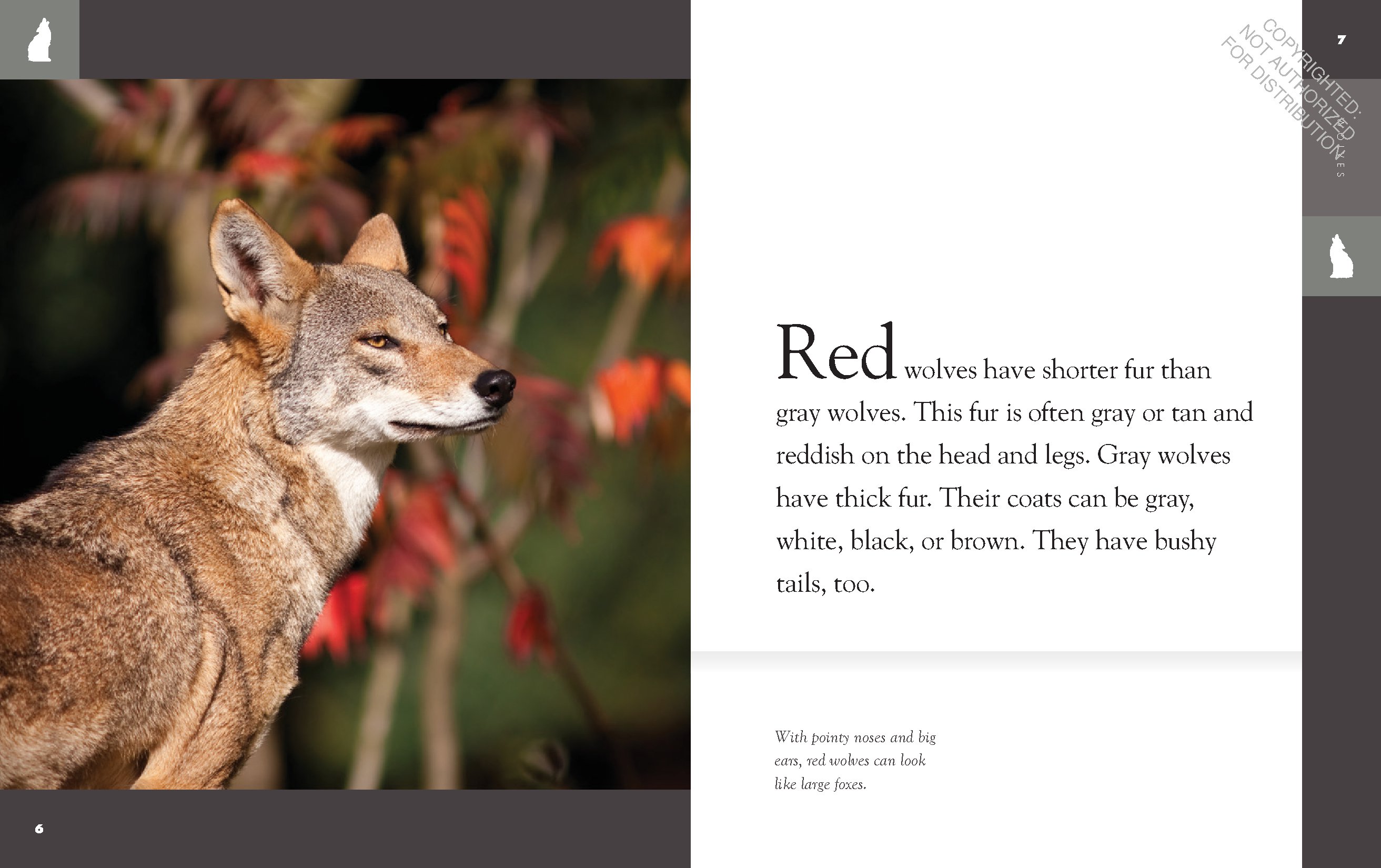 Wolves