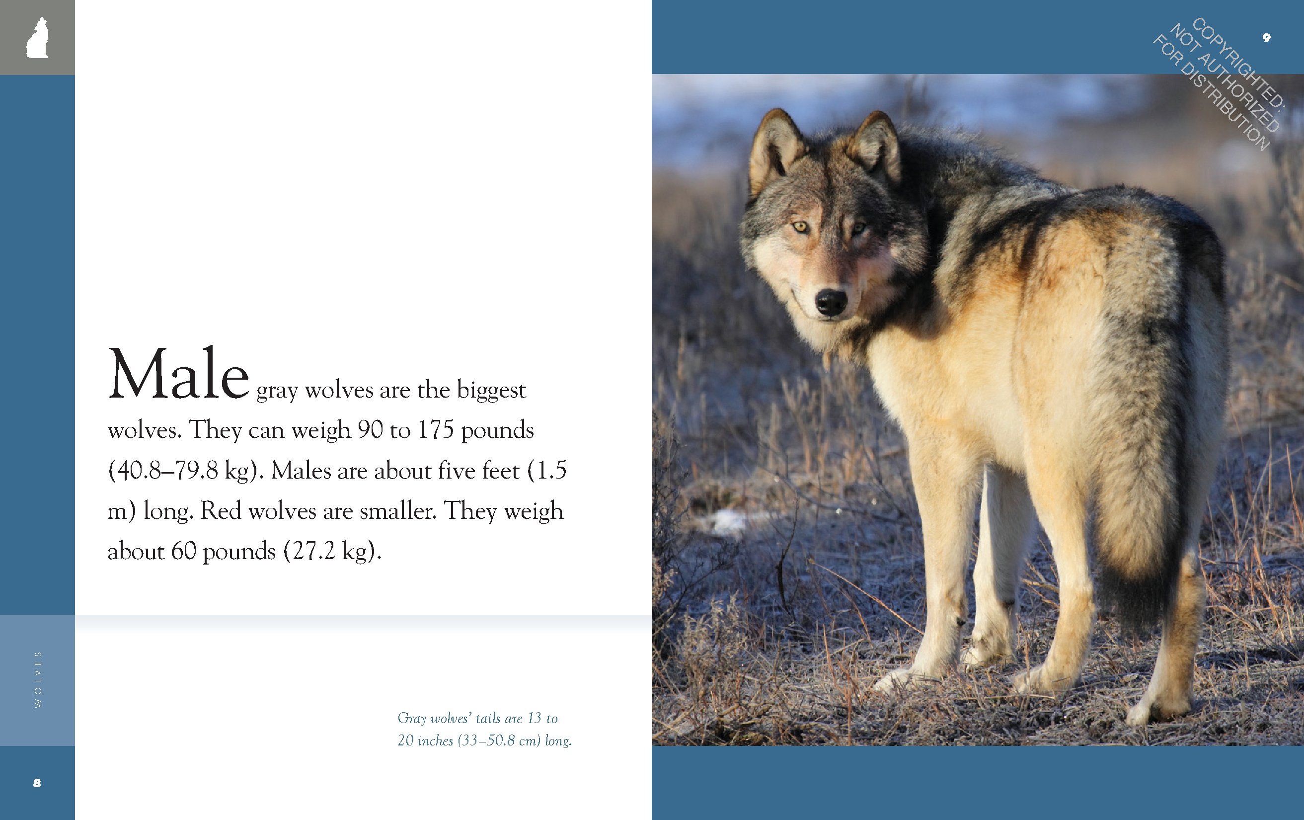 Wolves