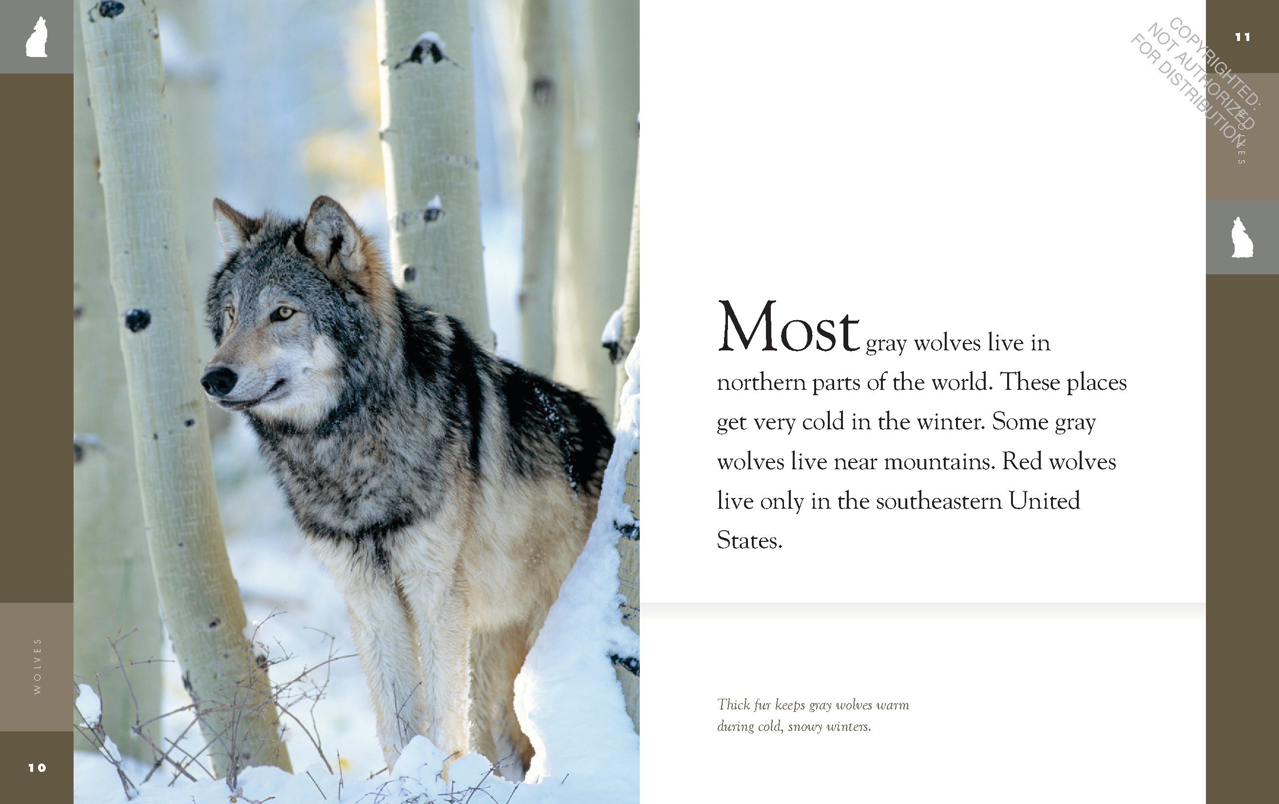 Wolves