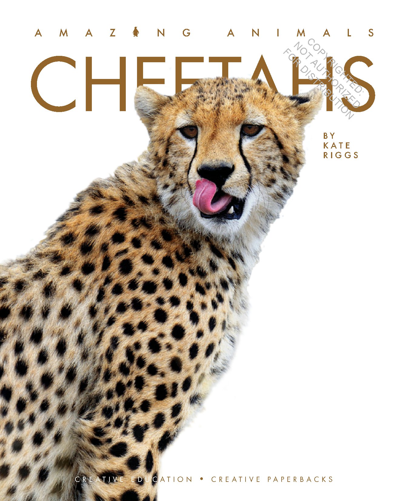 Cheetahs